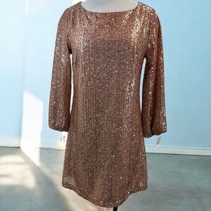 LOFT Pink Rose Sequin Balloon Puffy Sleeve Fancy Party Evening Shift Dress sz 8